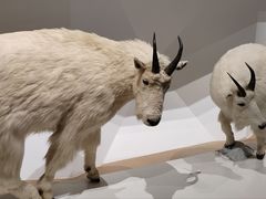 -陕西自然博物馆