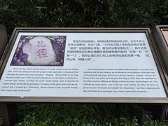 -庐山风景区花径公园