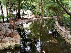 -成都市活水公园