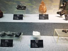 -甘肃地质博物馆