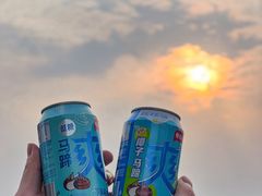 -海心沙亚运公园