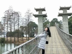 -东湖落雁景区