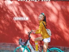 -北京国子监胡同