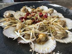 -鲁前海沿儿