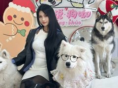 -汪说·狗咖·拼豆·宠物周边DIY(旺城大厦店)