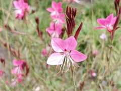 -泰煌鸡·上海白斩鸡·鸡汤面(万航店)
