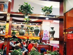 大堂-蝎王府羊蝎子(西稍门店)