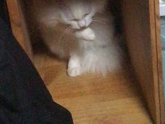 -同兴半盆菜酒家(打浦路店)