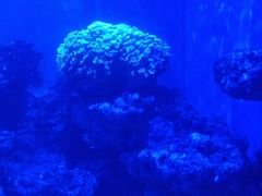 -上和臻品中国菜(花园街店)