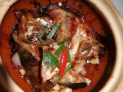 -大榕树下顺德菜(融创茂店)