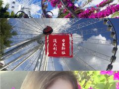 -布里斯班南岸公园