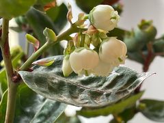 -古田居·特色寿司料理(骏欣中心店)