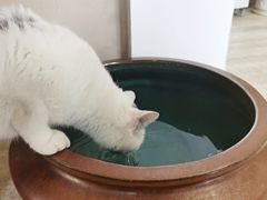 -三仟津花园咖啡馆