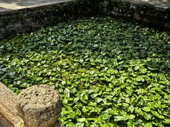 -无锡惠山寺