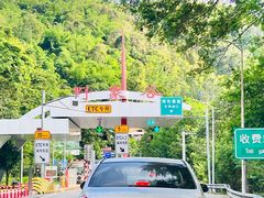 -野象谷景区