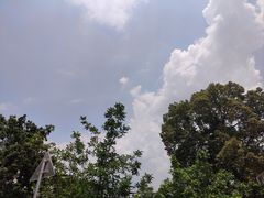 -巷子肥肠(科华巷店)