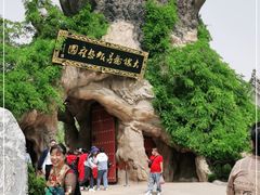 -大槐树寻根祭祖园