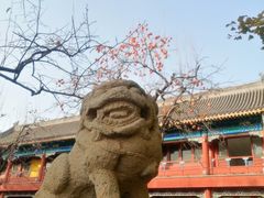 -北京石刻艺术博物馆(五塔寺)