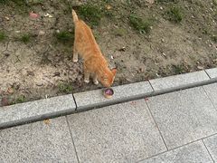 -吉林大学(前卫南区)