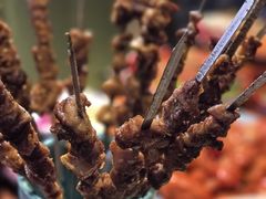 -郑州美盛喜来登大酒店