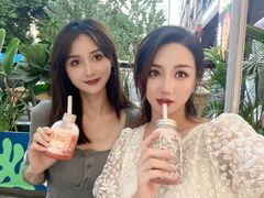 -野萃山·潮汕厚果汁(十亩地店)