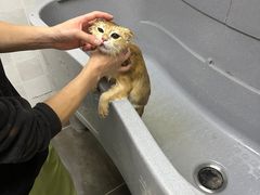 -芭比堂动物医院·犬猫全科·异宠专科(雁塔分院)