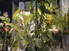 -懒人盐府人家(航天桥店)