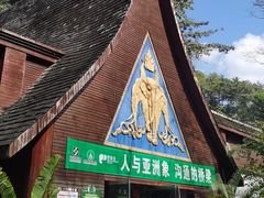 -野象谷景区