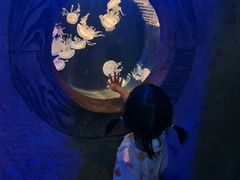 -华夏文旅西安度假区