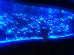 -太平洋海底世界餐厅