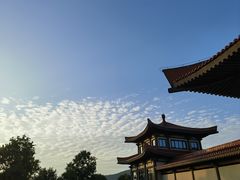 -中国石榴博物馆