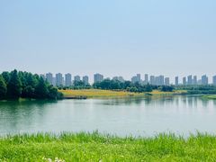 -洋湖国家湿地公园
