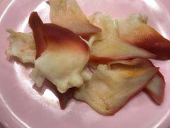 北极贝-争鲜回转寿司(东方银座店)