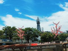 -百万葵园