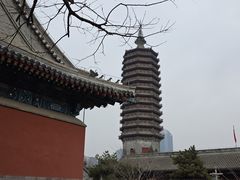 -西海子公园