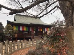 -医王山·飞騨国分寺