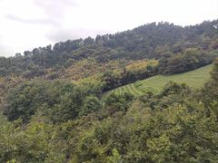 -敬亭山风景名胜区