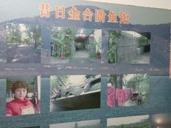 -金台阶鱼馆(于桥水库店)