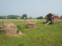 -长兴太湖图影湿地文化园