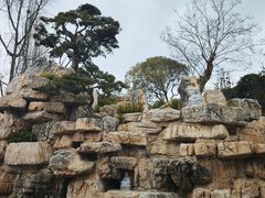 -宝光寺