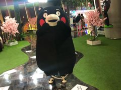 -绿岛汤泉韩式休闲会所