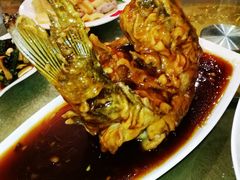 糖醋黄河鲤鱼-春江饭店(共青团路总店)