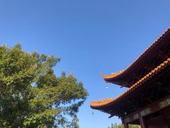 -深圳仙湖植物园