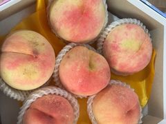 -南汇水蜜桃采摘(大团店)