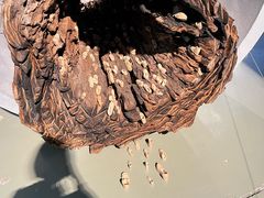 -上海当代艺术博物馆