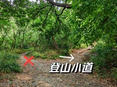 -紫金山山顶公园