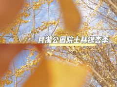 -月湖公园