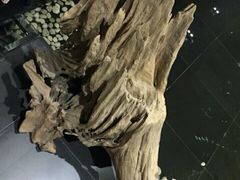 -天悦会