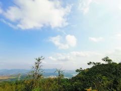 -阳台山森林公园