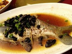 android_upload_pic-河源万绿湖美思威尔顿酒店